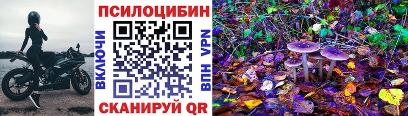 Галлюциногенные грибы Cubensis  Ковров 